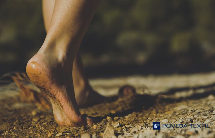 primera empresa climatologicamente neutra