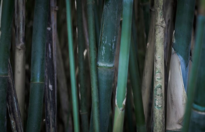 propiedades tela bambú